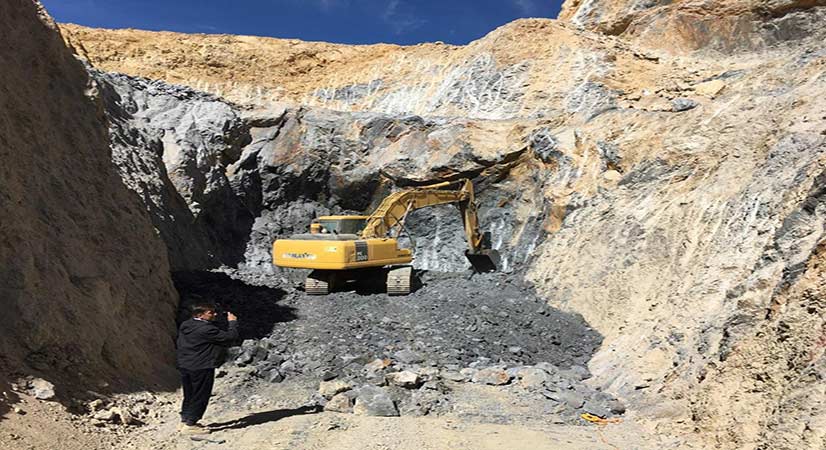 پیشرو در اجرا و توسعه پروژه ها