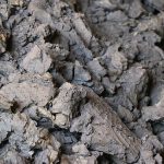 صعود آرام سرب در پاییز ۱۴۰۴؛