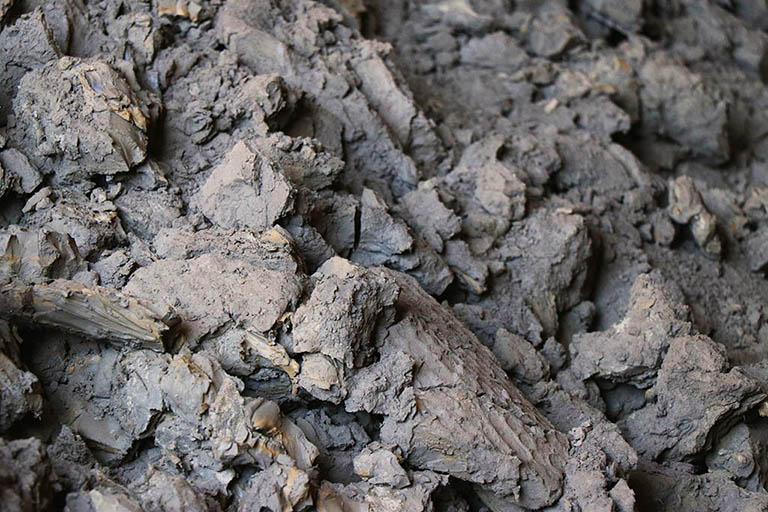 کلوخه سرب سولفیدی؛